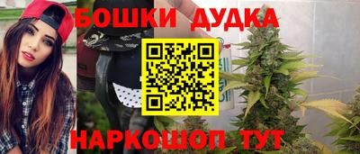 мет Кингисепп
