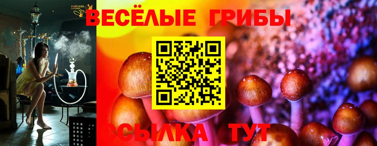 Галлюциногенные грибы Cubensis Котлас