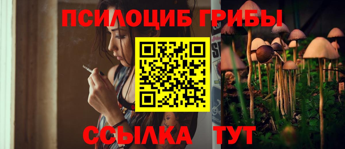 Котлас  Псилоцибиновые грибы MAGIC MUSHROOMS  Вход с VPN 