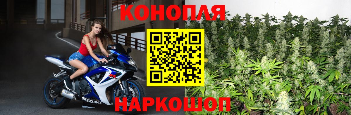 Котлас  Бошки марихуана планчик  Конопля семена  МАРИХУАНА MAZAR  Каннабис Bruce Banner  Вход с VPN 